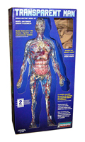 Transparent Man